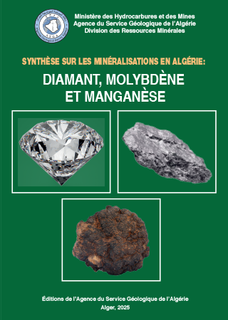 Nos Syntheses